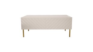 Журнальные столики Gala FURNLUX CLASSIC, 120x55x49 cm, белый цена и информация | Журнальные столики | pigu.lt