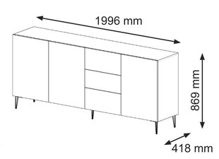 Komodos Ravenna B FURNLUX CLASSIC, 200x42x87 cm, juodas kaina ir informacija | Svetainės spintelės | pigu.lt