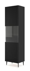 Vitrīna Ravenna B FURNLUX CLASSIC, 60x42x215 cm, juodas kaina ir informacija | Vitrinos, indaujos | pigu.lt