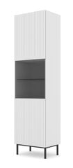 Vitrīna Ravenna B FURNLUX CLASSIC, 60x42x217 cm, baltas kaina ir informacija | Vitrinos, indaujos | pigu.lt