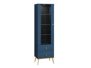 Витрина Marine FURNLUX CLASSIC, 55x40x190 cm, синий цена и информация | Витрины, серванты | pigu.lt