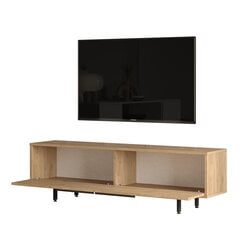 Tv staliukai Ocean FURNLUX CLASSIC, 160x36x45 cm, natūralus kaina ir informacija | TV staliukai | pigu.lt