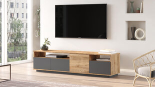 Tv staliukai Future FURNLUX CLASSIC, 180x45x45 cm, pilka kaina ir informacija | TV staliukai | pigu.lt