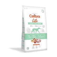 Calibra Dog Life didelių veislių jauniems šuniukams su vištiena, 2,5 kg kaina ir informacija | Sausas maistas šunims | pigu.lt