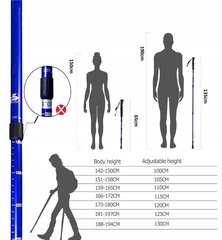 Teleskopinės šiaurietiško ėjimo lazdos, 63-135cm цена и информация | Палки для ходьбы | pigu.lt