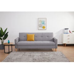 Sofa-lova Aatrium Darlan, pilka kaina ir informacija | Sofos | pigu.lt