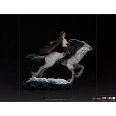 Iron Studios Harry Potter - Harry and Buckbeak Deluxe statulėlė 1/10 цена и информация | Атрибутика для игроков | pigu.lt