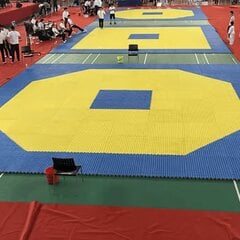 Напольное покрытие Tatami, 100х100х2см, желтый/синий, 80кг/м3 цена и информация | Коврики для йоги, фитнеса | pigu.lt