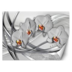 Fototapetai Orchidėjos kaina ir informacija | Fototapetai | pigu.lt