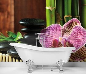 Fototapetai Orchidėja, Zen, akmenys ir bambukai цена и информация | Фотообои с инструментом и клеем - Бежевые листья эвкалипта, 400x280 см | pigu.lt