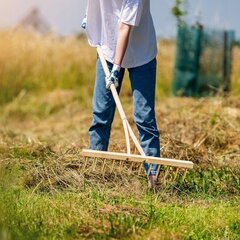 Medinis grėblys šienui, žolei, lapams su rankena kaina ir informacija | Sodo įrankiai | pigu.lt