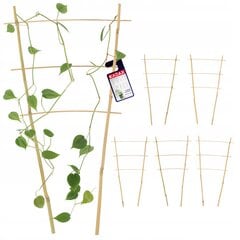 Pergola Support Bamboo Kopėčios 45 cm 5 vnt kaina ir informacija | Gėlių stovai, vazonų laikikliai | pigu.lt