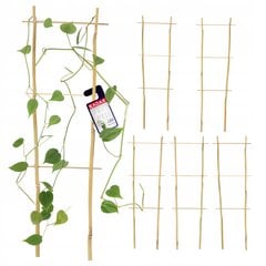 Pergola Support Bamboo Kopėčios 45 cm 5 vnt kaina ir informacija | Gėlių stovai, vazonų laikikliai | pigu.lt