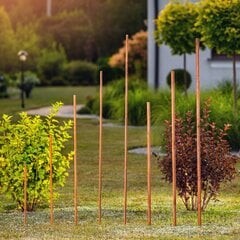 Kadax gėlių atrama 90 cm kaina ir informacija | Gėlių stovai, vazonų laikikliai | pigu.lt