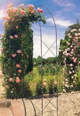 Metalinė sodo pavėsinė arka gėlėms rožėms 255cm kaina ir informacija | Pavėsinės | pigu.lt