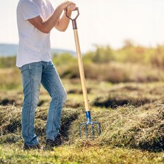 4 dantų šieno šakutė, sodo ūkio mėšlo šakė su rankena kaina ir informacija | Sodo įrankiai | pigu.lt