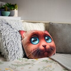 Rašto pagalvė su Cat Mascot raštu 30x45 cm kaina ir informacija | Pagalvės | pigu.lt