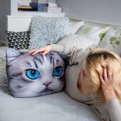 Rašto pagalvė su Cat Mascot raštu 30x45 cm kaina ir informacija | Pagalvės | pigu.lt