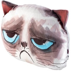 Rašto pagalvė su Cat Mascot raštu 30x45 cm kaina ir informacija | Pagalvės | pigu.lt