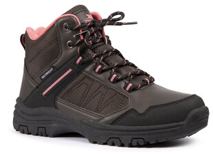 Avalynė FAFOBOTR0019 - LYRE - FEMALE WATERPROOF WALKING BOOT цена и информация | Женские сапоги | pigu.lt