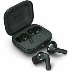 Motorola Moto Buds+ black цена и информация | Наушники | pigu.lt