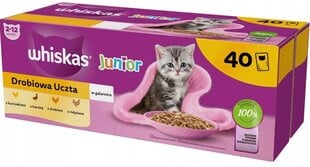 Whiskas Junior konservai su paukštiena, 40x85g kaina ir informacija | Konservai katėms | pigu.lt