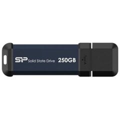 Silicon Power SP250GBUF3S60VPB kaina ir informacija | Išoriniai kietieji diskai (SSD, HDD) | pigu.lt