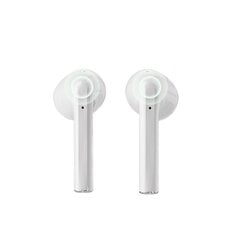 Dudao U14+ wireless in-ear TWS Bluetooth 5.3 headphones - white kaina ir informacija | Ausinės | pigu.lt