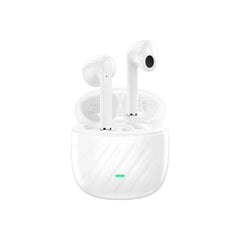 Dudao U14+ wireless in-ear TWS Bluetooth 5.3 headphones - white kaina ir informacija | Ausinės | pigu.lt