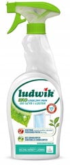 Ludwik Ecological skystis langams ir veidrodžiams plauti, 750 ml цена и информация | Очистители | pigu.lt