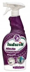 Ludwik valymo pienelis, 750 ml kaina ir informacija | Valikliai | pigu.lt