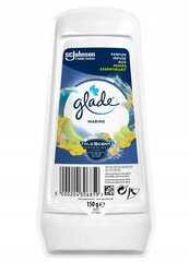 Gelinis oro gaiviklis 150 g "Glade Marine Marine kaina ir informacija | Salono oro gaivikliai | pigu.lt