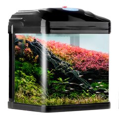 Akvariumas žuvims ir krevetėms, Sunsun Pika-Pika AquaKids, juodas, 3L цена и информация | Аквариумы и оборудование | pigu.lt