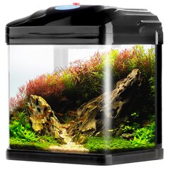 Akvariumas žuvims ir krevetėms Sunsun Pika-Pika AquaKids 3L, juodas, su įranga цена и информация | Аквариумы и оборудование | pigu.lt