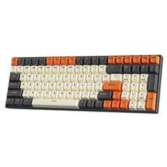 Royal Kludge RK100 Black-Orange цена и информация | Клавиатуры | pigu.lt