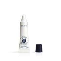 L'Occitane Shea Butter Ultra Rich Lip Balm taukmedžių lūpų balzamas, 12 ml цена и информация | Помады, бальзамы, блеск для губ | pigu.lt