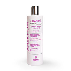 Regeneruojantis plaukų šampūnas Xhekpon Shampoo, 400 ml kaina ir informacija | Šampūnai | pigu.lt