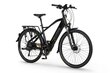 Prekė su pažeidimu.Elektrinis dviratis Ecobike X-Cross M 14,5 Ah Greenway, juodas цена и информация | Prekės su pažeidimu | pigu.lt