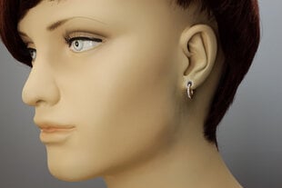 Auksiniai auskarai moterims su cirkoniais Brasco 56395 kaina ir informacija | Auskarai | pigu.lt