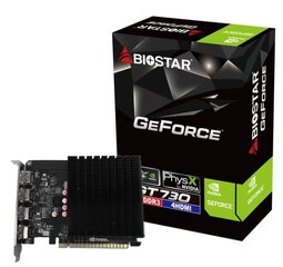 Biostar GeForce GT730 (VN7313TG46 ) kaina ir informacija | Vaizdo plokštės (GPU) | pigu.lt