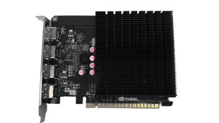 Biostar GeForce GT730 (VN7313TG46 ) kaina ir informacija | Vaizdo plokštės (GPU) | pigu.lt