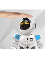 Robotas Maksik Robot ProNice, su tatuiruotėmis vaikams цена и информация | Игрушки для мальчиков | pigu.lt