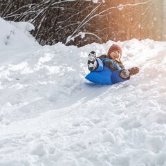 Детские санки, Горка для скоростного спуска, Яблоко Яблоко, Пластиковое Яблоко, Крепкое цена и информация | Санки | pigu.lt