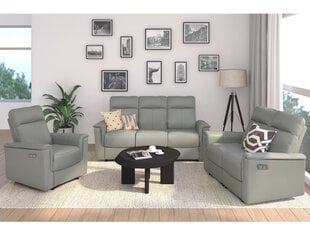 Dvivietė sofa Loft24 Southbrook, pilka kaina ir informacija | Sofos | pigu.lt