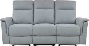 Trivietė sofa Loft Southbrook, pilka kaina ir informacija | Sofos | pigu.lt