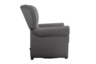 Кресло для гостиной Loft24 Lillyse, серое цена и информация | Кресла в гостиную | pigu.lt