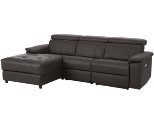 Trivietė sofa Loft Tanaro, ruda kaina ir informacija | Sofos | pigu.lt