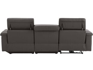 Trivietė sofa Loft Tanaro, ruda kaina ir informacija | Sofos | pigu.lt