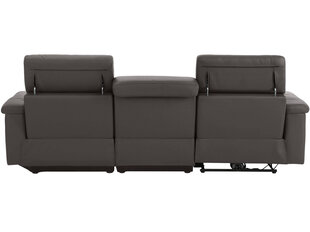 Trivietė sofa Loft Tanaro, ruda kaina ir informacija | Sofos | pigu.lt