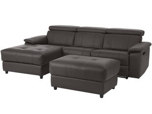 Trivietė sofa Loft Tanaro, ruda kaina ir informacija | Sofos | pigu.lt